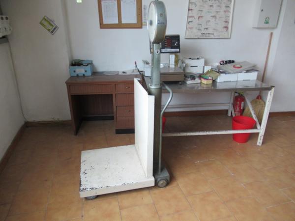 1#4644 Cella frigo e pesa a pavimento Santo Stefano in vendita - foto 19