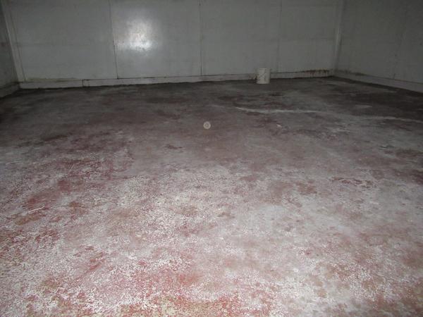 1#4644 Cella frigo e pesa a pavimento Santo Stefano in vendita - foto 44
