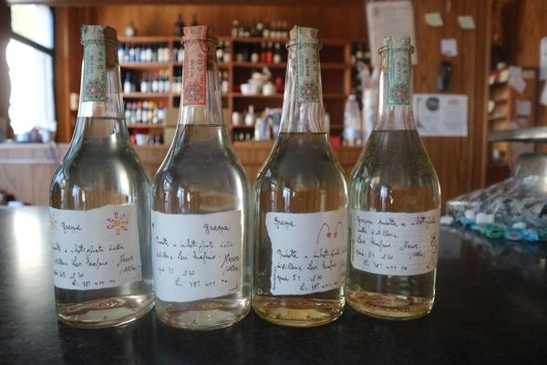 4#46521 Grappa Romano Levi in vendita - foto 1