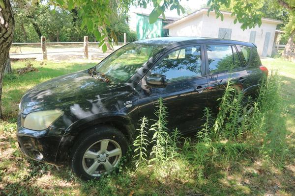 Automobili in vendita