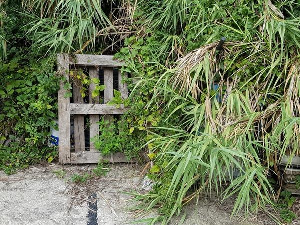 1#4668 Materiale ed attrezzature da cantiere in vendita - foto 142