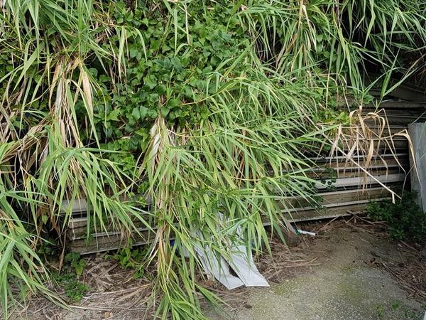 1#4668 Materiale ed attrezzature da cantiere in vendita - foto 143