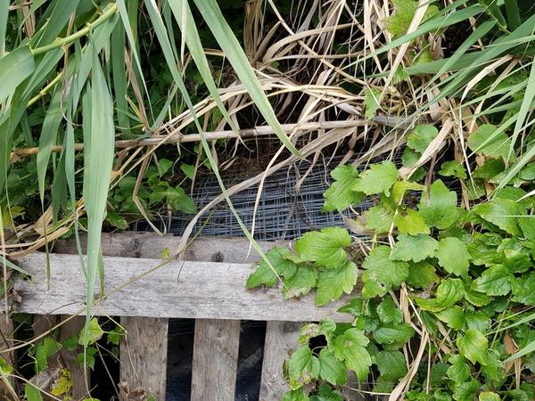 1#4668 Materiale ed attrezzature da cantiere in vendita - foto 146