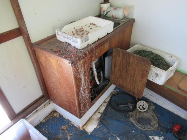 1#4671 Motobarca da pesca in vetroresina in vendita - foto 28