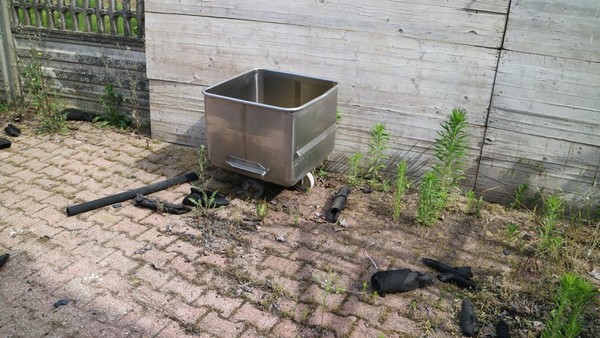 8#4695 Carrelli in acciaio per salumificio in vendita - foto 4