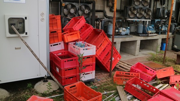 8#4695 Carrelli in acciaio per salumificio in vendita - foto 20