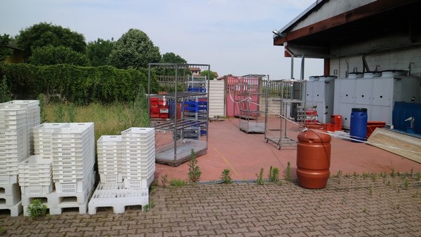 8#4695 Carrelli in acciaio per salumificio in vendita - foto 25