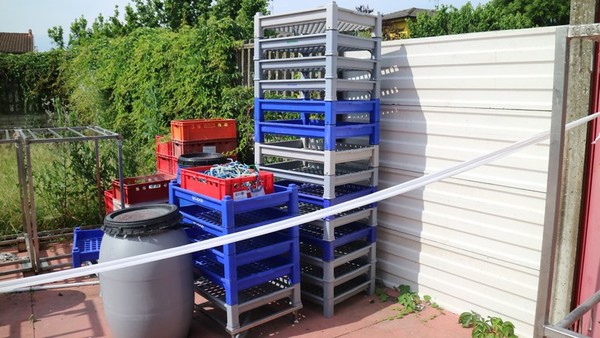 8#4695 Carrelli in acciaio per salumificio in vendita - foto 27