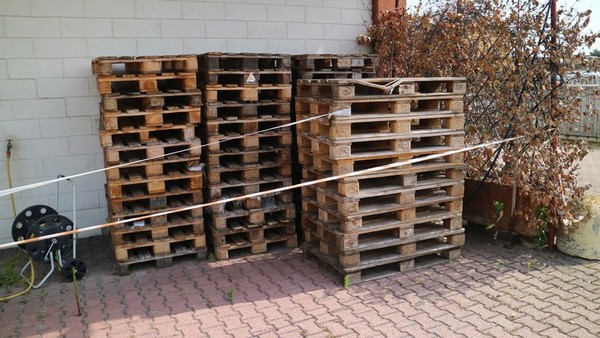 8#4695 Carrelli in acciaio per salumificio in vendita - foto 29