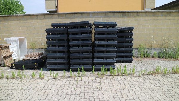 9#4695 Imballaggi per settore alimentare in vendita - foto 45