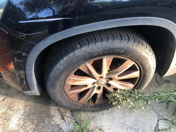 1#4702 Autovettura Volkswagen Tiguan in vendita - foto 7