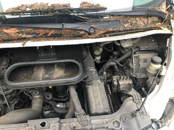 1#4706 Furgone Fiat Scudo in vendita - foto 17