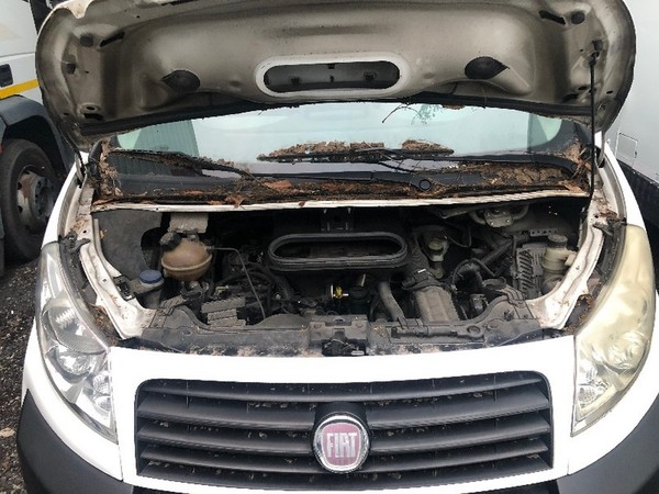 1#4706 Furgone Fiat Scudo in vendita - foto 19