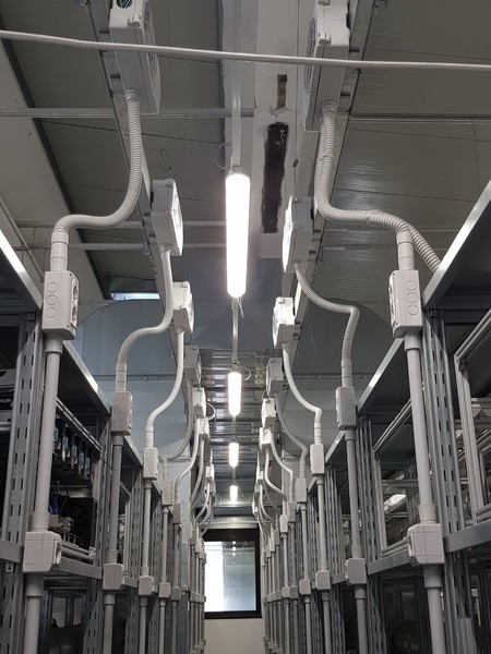 6#4757 Elettrica Blindosbarre  in vendita - foto 1