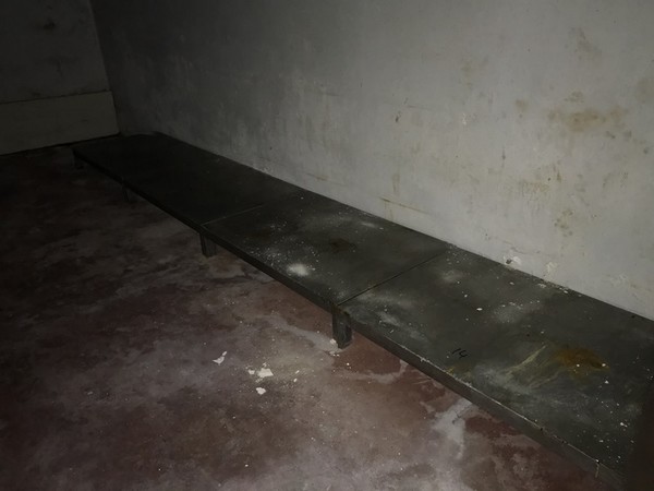 14#4765 Linea per la produzione di pancetta in vendita - foto 54