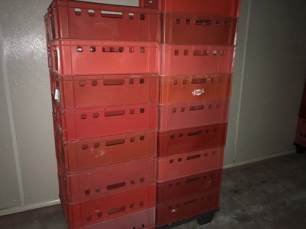 14#4765 Linea per la produzione di pancetta in vendita - foto 59