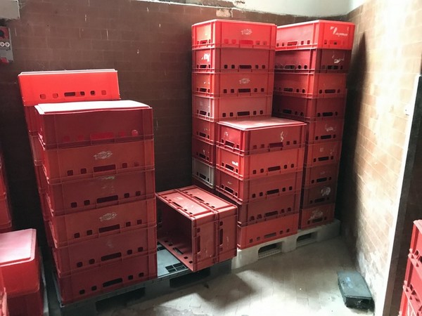 14#4765 Linea per la produzione di pancetta in vendita - foto 82