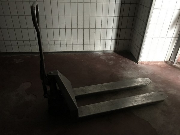 6#4765 Transpallet elettrico e scala a pioli in vendita - foto 10