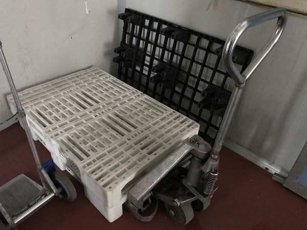 6#4765 Transpallet elettrico e scala a pioli in vendita - foto 13