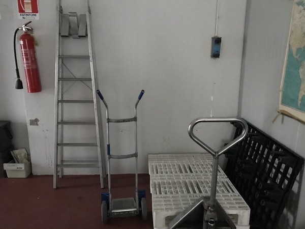 6#4765 Transpallet elettrico e scala a pioli in vendita - foto 15