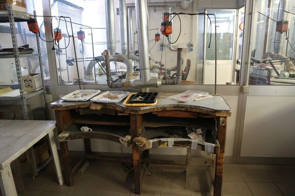 1#4784 Cessione di ramo di azienda C.P. SRL in vendita - foto 21