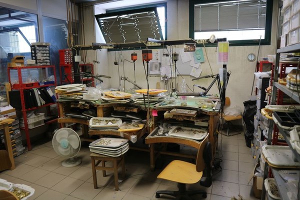 1#4784 Cessione di ramo di azienda C.P. SRL in vendita - foto 22