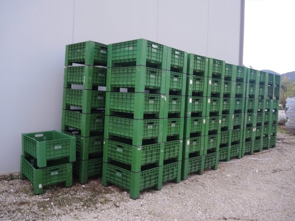 Agroalimentare in vendita
