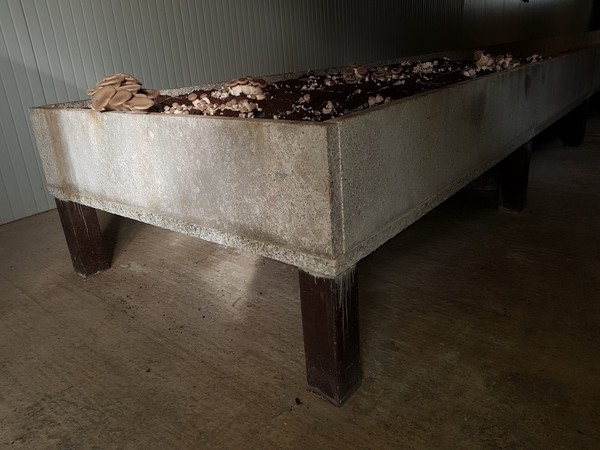 1#4791 Impianto per la funghicoltura in vendita - foto 7