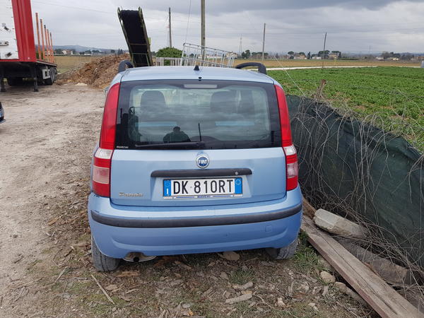 1#4803 Autovettura Fiat Panda in vendita - foto 2