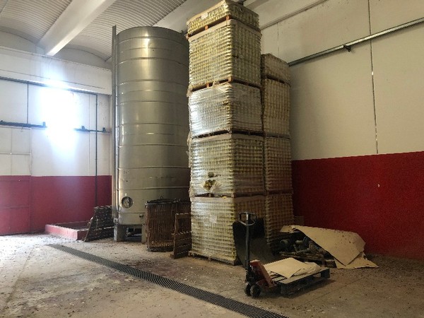 1#4855 Attrezzature da cucina industriale in vendita - foto 21