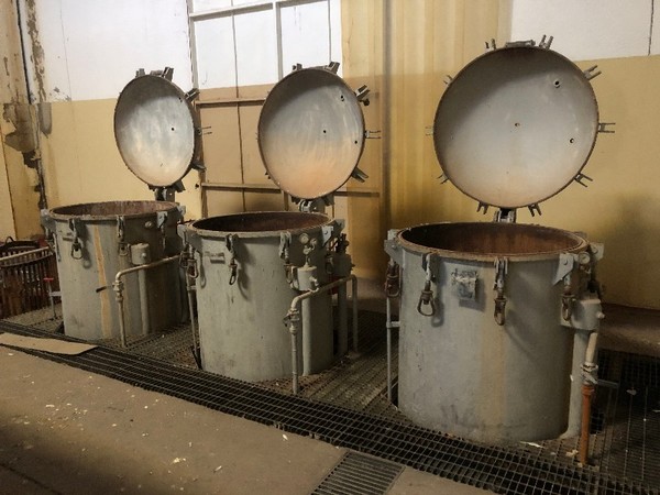 2#4855 Autoclavi di ferro per la pastorizzazione e sterilizzazione in vendita - foto 5