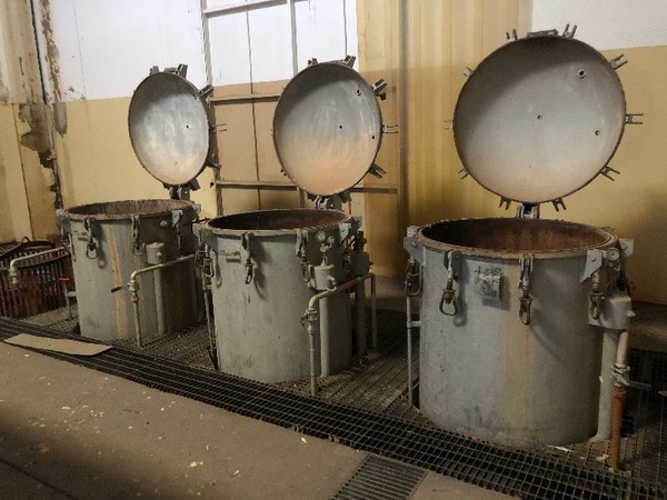 2#4855 Autoclavi di ferro per la pastorizzazione e sterilizzazione in vendita - foto 6