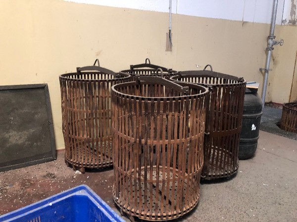 2#4855 Autoclavi di ferro per la pastorizzazione e sterilizzazione in vendita - foto 7