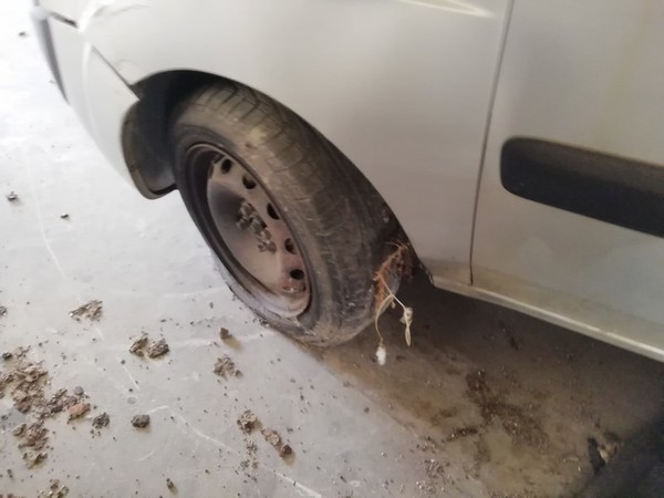 44#4856 Autovettura Fiat Doblò in vendita - foto 6