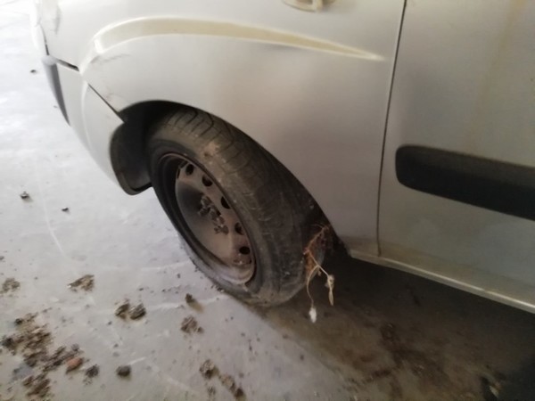 44#4856 Autovettura Fiat Doblò in vendita - foto 7