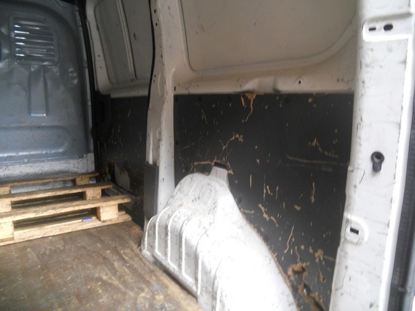 2#4862 Autocarro Fiat Scudo in vendita - foto 22