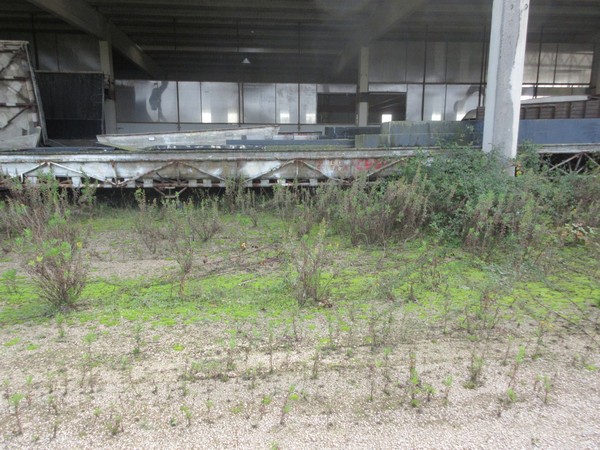 23#4867 Stampi costruzioni barche in vendita - foto 42