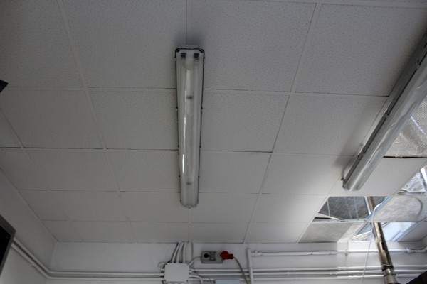 10#4902 Attrezzatura e arredi per panificio in vendita - foto 28