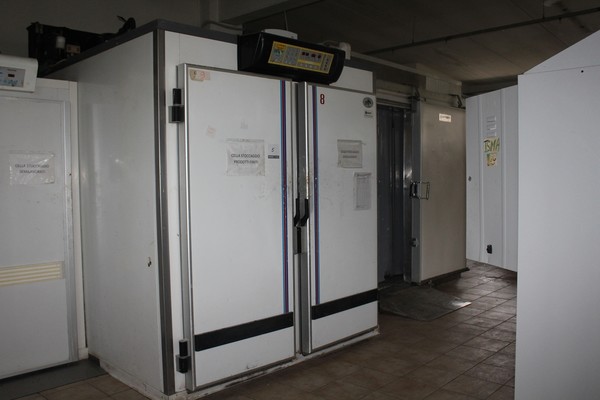 Celle Frigorifere alimentari in vendita