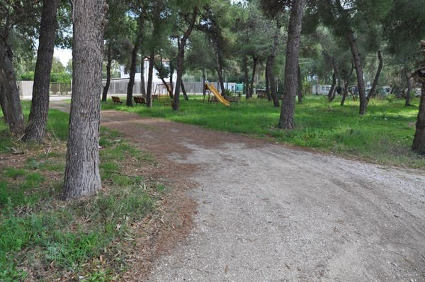 1#4905 Cessione di azienda agrituristica in vendita - foto 79