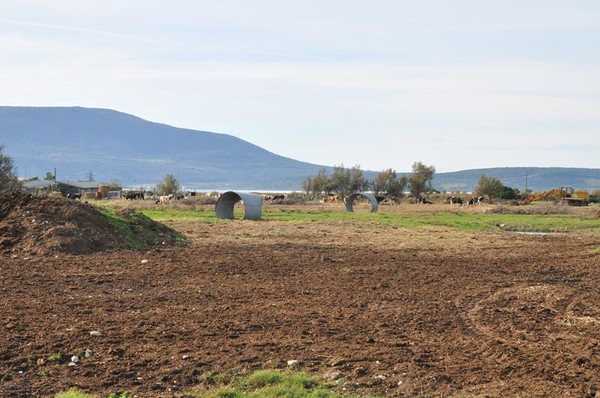 1#4905 Cessione di azienda agrituristica in vendita - foto 161