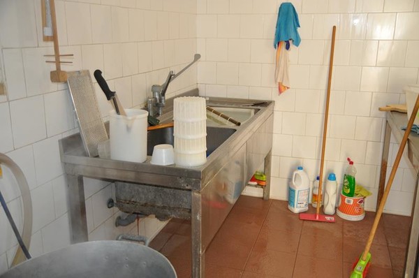 1#4905 Cessione di azienda agrituristica in vendita - foto 171