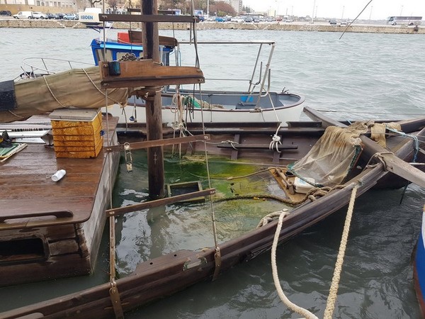 1#4974 Imbarcazione da diporto in vendita - foto 18