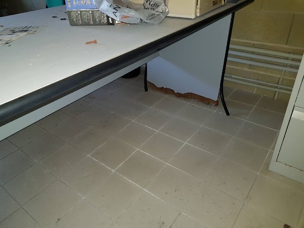2#4986 Banco da lavoro e arredi in vendita - foto 96