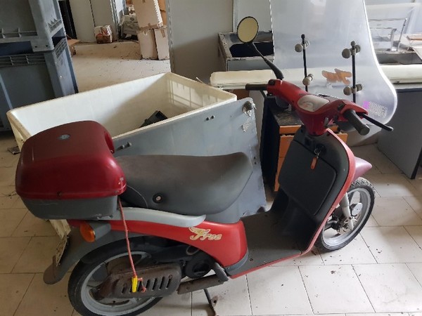 8#4986 Ciclomotore Piaggio Free e Mountain Bike in vendita - foto 1