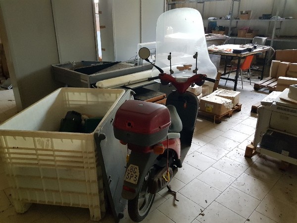 8#4986 Ciclomotore Piaggio Free e Mountain Bike in vendita - foto 2