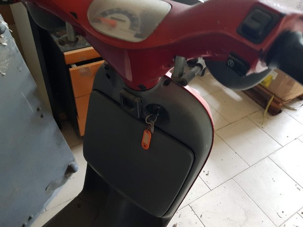 8#4986 Ciclomotore Piaggio Free e Mountain Bike in vendita - foto 3