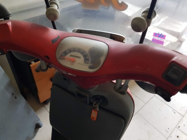8#4986 Ciclomotore Piaggio Free e Mountain Bike in vendita - foto 4