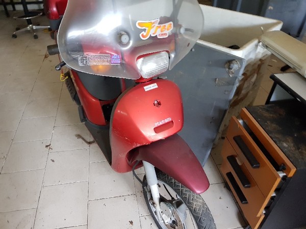 8#4986 Ciclomotore Piaggio Free e Mountain Bike in vendita - foto 5