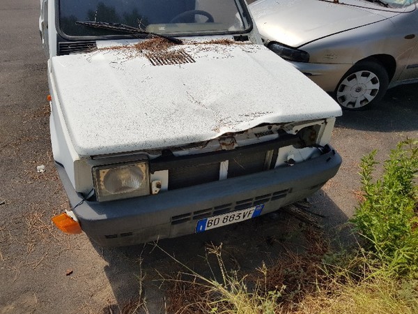 9#4986 Automezzi da rottamare in vendita - foto 14